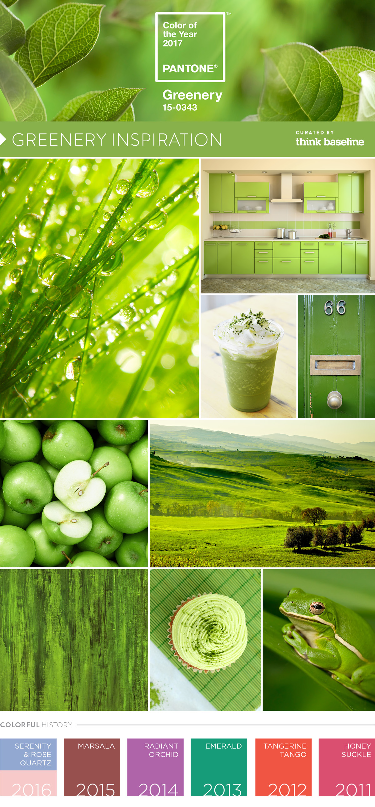 PANTONE® USA  Color of the Year 2017: PANTONE 15-0343 GREENERY